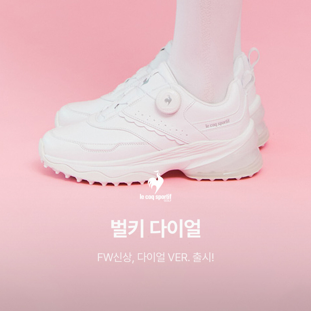 임시 이미지
