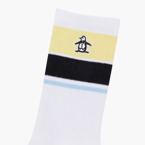  뒷면