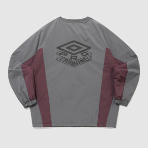  뒷면